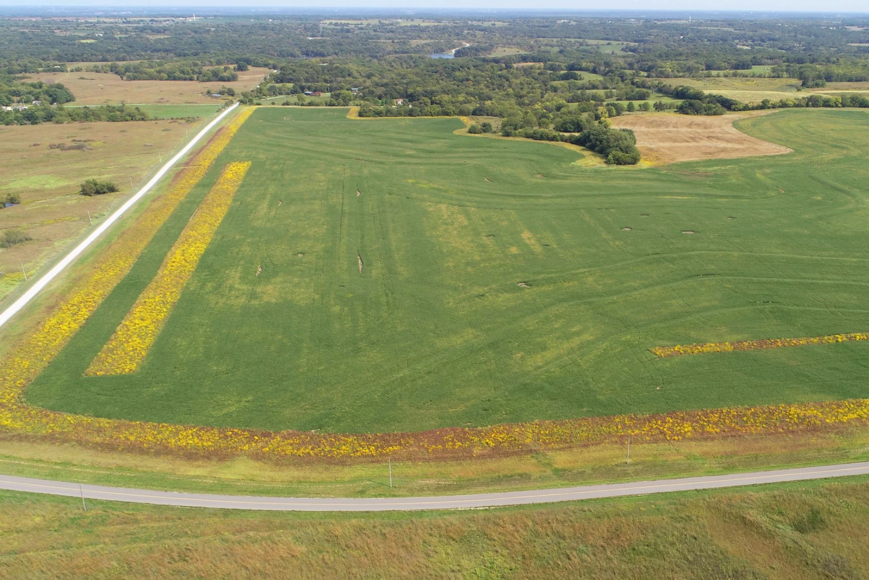 Example of field border strips