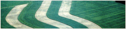 Example of contour strip cropping