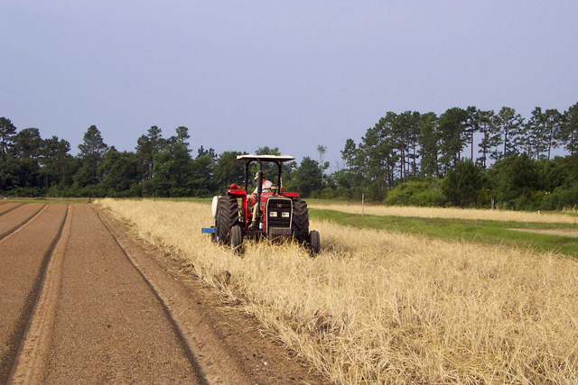 No-till next to tilled strip